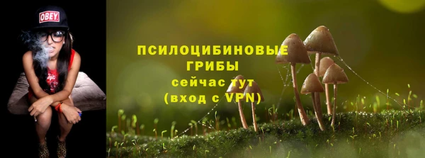 эйфоретик Михайловка
