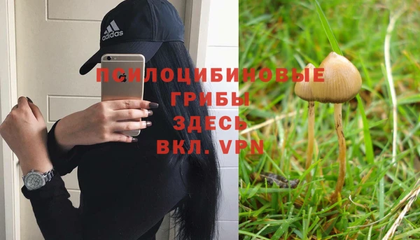 эйфоретик Михайловка